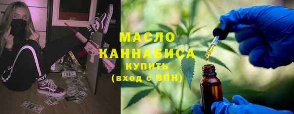 хмурый Пересвет