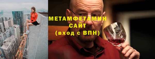 хмурый Пересвет