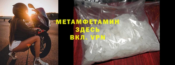хмурый Пересвет