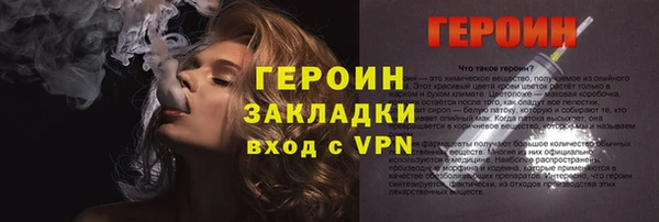 хмурый Пересвет