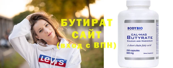 хмурый Пересвет