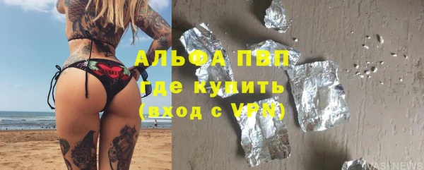хмурый Пересвет