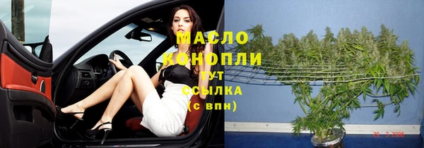 амф Пестово
