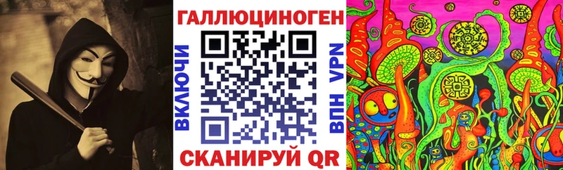где купить   Хилок  Галлюциногенные грибы Cubensis 