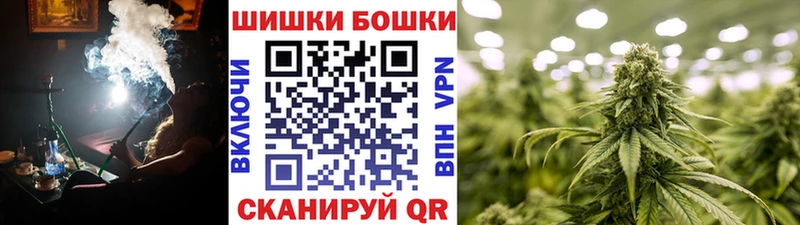 Бошки Шишки THC 21%  купить наркоту  Хилок 